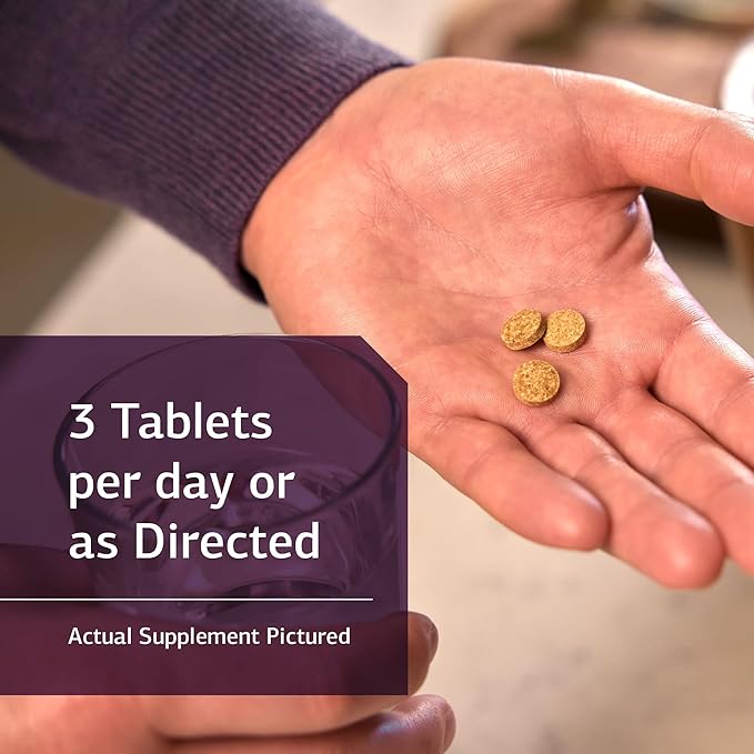 Standard Process Catalyn B6, Magnesium 360 Tablets