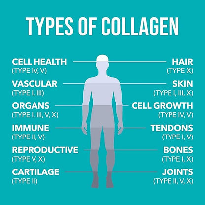 Natures Plus Collagen Peptides 0.65 lbs 28 Servings