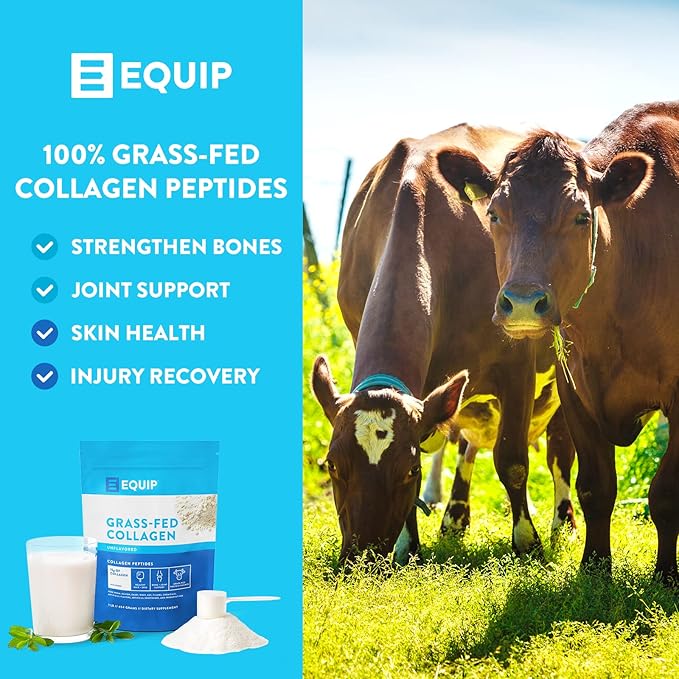 Equip Foods Grass Fed Collagen Powder -100% Hydrolyzed 1 Pound,