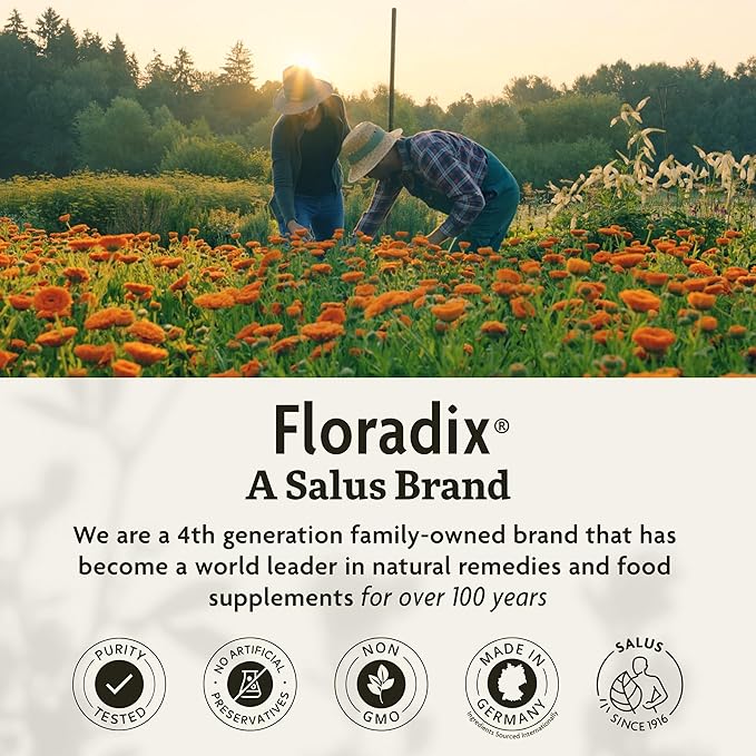 Floradix Floravital Liquid Iron & Vitamins Formula 23 fl