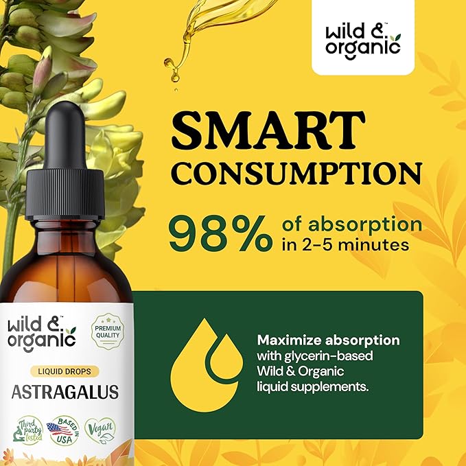 Astragalus Tincture - Immune Support Supplement 2oz