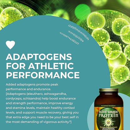 HealthForce SuperFoods Elite Green Protein - 500 g Powder