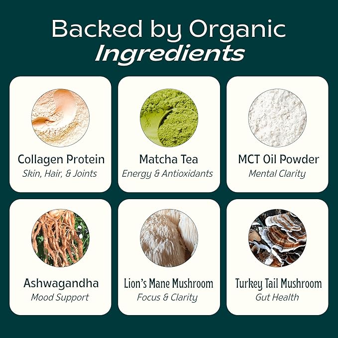 JIBBY Mushroom Matcha Super Latte - Ceremonial Grade Green Tea Organic Matcha Powder, Collagen, MCT Oil, Superfood Mushrooms, Matcha Latte Collagen Powder, Matcha Powder (Unsweetened, 30 Servings)