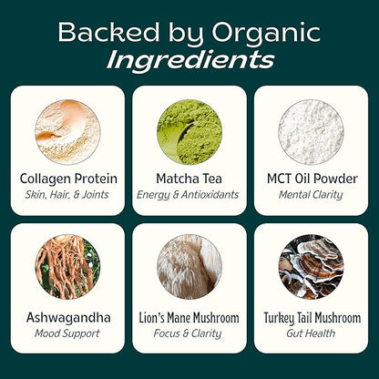 JIBBY Mushroom Matcha Super Latte - Ceremonial Grade Green Tea Organic Matcha Powder, Collagen, MCT Oil, Superfood Mushrooms, Matcha Latte Collagen Powder, Matcha Powder (A Tad Sweet, 10 Servings)