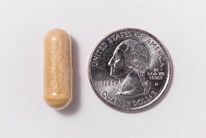 Bariatric Multivitamin | Capsule | Iron 30 Count