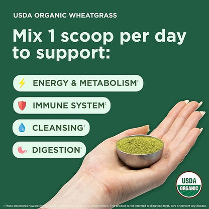 Yuve USDA Organic Wheatgrass Powder - Grown in USA - Raw, Non-GMO, Lab Tested - 100% Whole Leaf - Superfood Rich in Vitamins, Antioxidants & Minerals - Gluten-Free - 2 Months Supply - 5.29oz