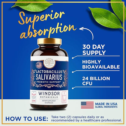 WINDSOR BOTANICALS Lactobacillus Salivarius Probiotic Capsules - L Salivarius Probiotic Oral Dental Probiotics for Bad Breath, Teeth and Gums Health and Immune Support - 24bn CFU, 2-Pack 120 Caps