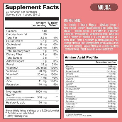 BIRDMAN Fitmingo Vegan Protein Powder with Inositol, Collagen Boosters, Hyaluronic Acid and Vitamins | Low Carb, Dairy Free, Low Calorie | 22g Plant Based Mocha Protein Powder with Myo-Inositol
