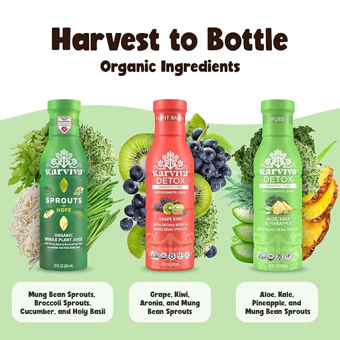 Karviva Organic Detox Juice Variety Pack – Ancient Remedies for Gentle Detox & Healthy Digestion, Low-Sugar Juice Cleanse with Sprouts, Electrolytes, Prebiotics, Antioxidants (6 Bottles, 12 oz Each)