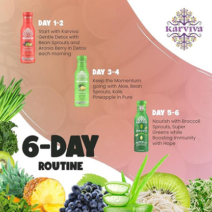 Karviva Organic Detox Juice Variety Pack – Ancient Remedies for Gentle Detox & Healthy Digestion, Low-Sugar Juice Cleanse with Sprouts, Electrolytes, Prebiotics, Antioxidants (6 Bottles, 12 oz Each)