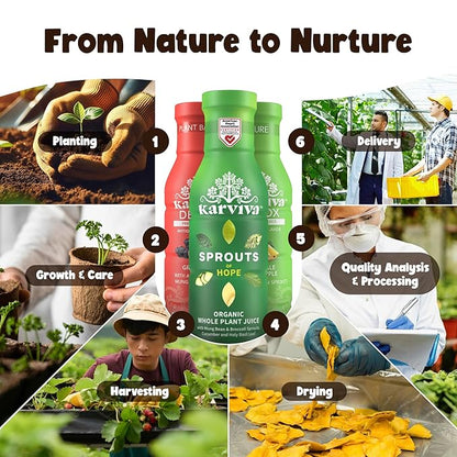 Karviva Organic Detox Juice Variety Pack – Ancient Remedies for Gentle Detox & Healthy Digestion, Low-Sugar Juice Cleanse with Sprouts, Electrolytes, Prebiotics, Antioxidants (6 Bottles, 12 oz Each)