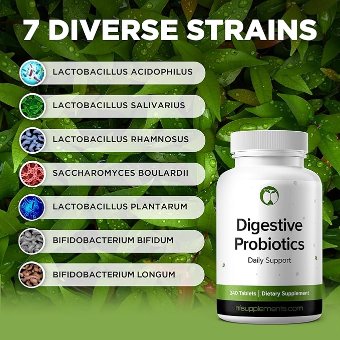 Probiotics for Digestive Health 240 Tablets | Daily Support for Men & Women | 3 Billion CFU | Probiotic Supplement Made in The USA (240, Digestive Probiotics)