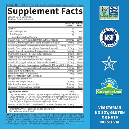 Garden of Life Kids Multivitamin Gummy Orange,30 Day