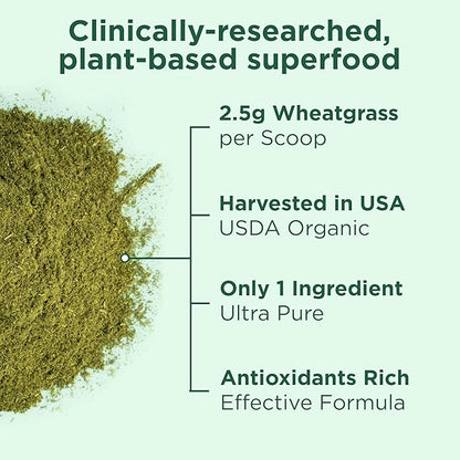 Yuve USDA Organic Wheatgrass Powder - Grown in USA - Raw, Non-GMO, Lab Tested - 100% Whole Leaf - Superfood Rich in Vitamins, Antioxidants & Minerals - Gluten-Free - 2 Months Supply - 5.29oz