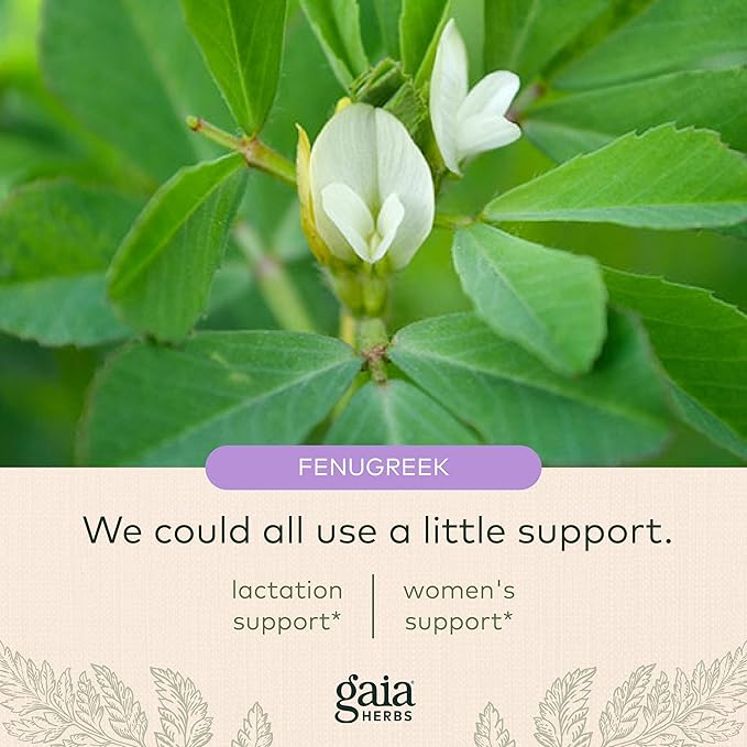 Gaia Herbs Fenugreek Seed 60 Vegan 15-Day Supply)
