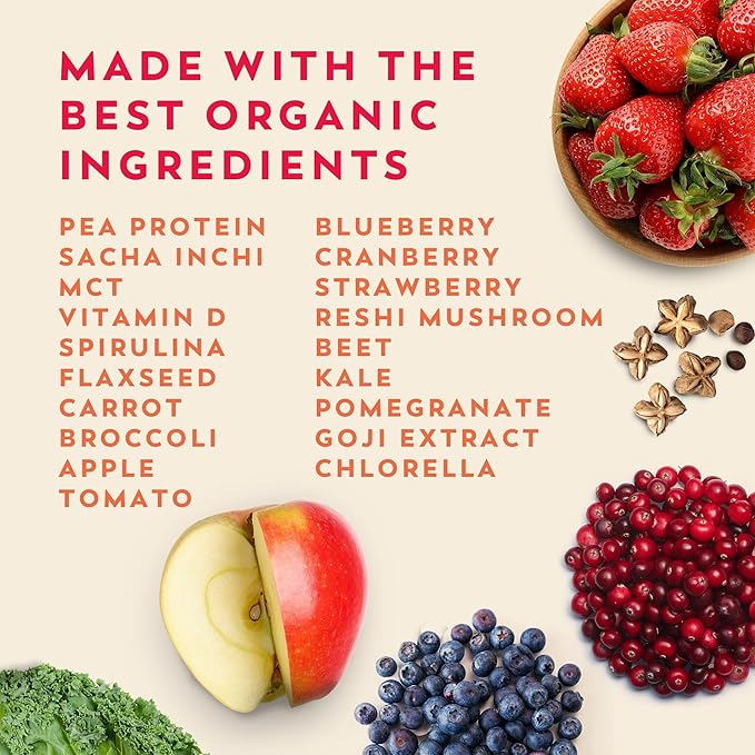 Veeg Meal Replacement Powder, All-in-One Plant-Based Protein Superfood with 50+ Superfoods & Vitamins, Organic Greens & Reds, MCT, Probiotics | Non GMO Vegan Protein Powder Chocolate, 15 Servings