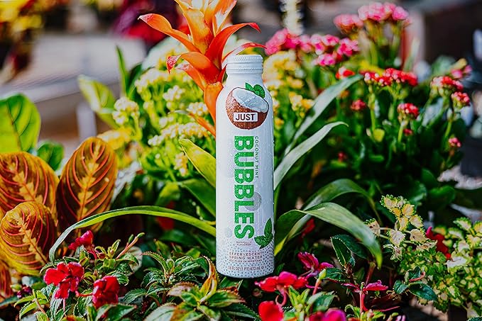 JUST Bubbles Coconut Mint - Pure Premium Sparkling Spring Water in a Fully Recyclable Reusable Eco-Friendly Bottle - 100% Mountain-Sourced Carbonated Water with Naturally Occurring Minerals, 16 Fl Oz (Pack of 12)