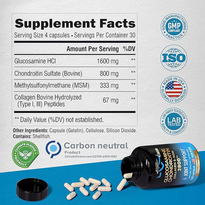 Glucosamine Chondroitin MSM Collagen 2800 mg 120 Capsules