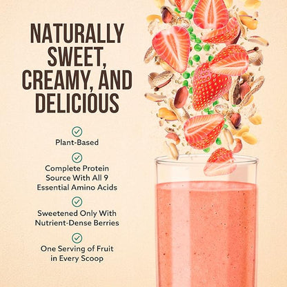 Premium Protein Powder, Strawberry Peanut Butter (20g of 4 Ingredients 20 Servings