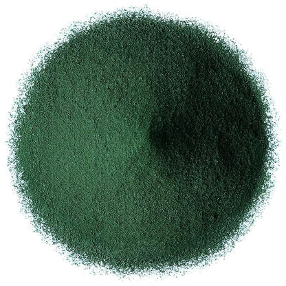 Food to Live Organic Spirulina Powder, 1 Pound – Non-GMO, Kosher, Raw Blue-Green Algae, Vegan Superfood, Bulk, Non-Irradiated, Pure Vegan Green Protein, Rich in Vitamins & Minerals, Great for Drinks